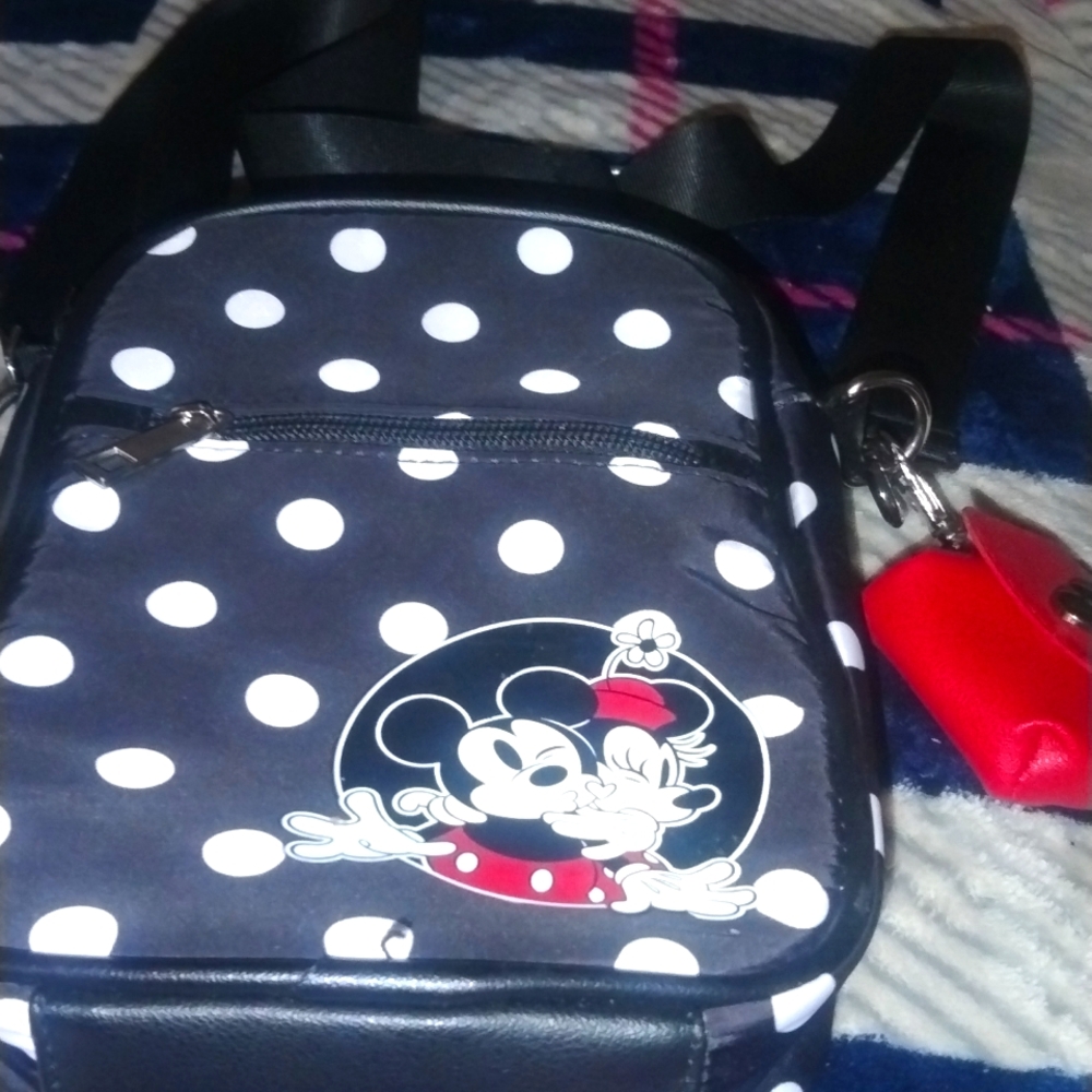 Mickey mouse rare bag